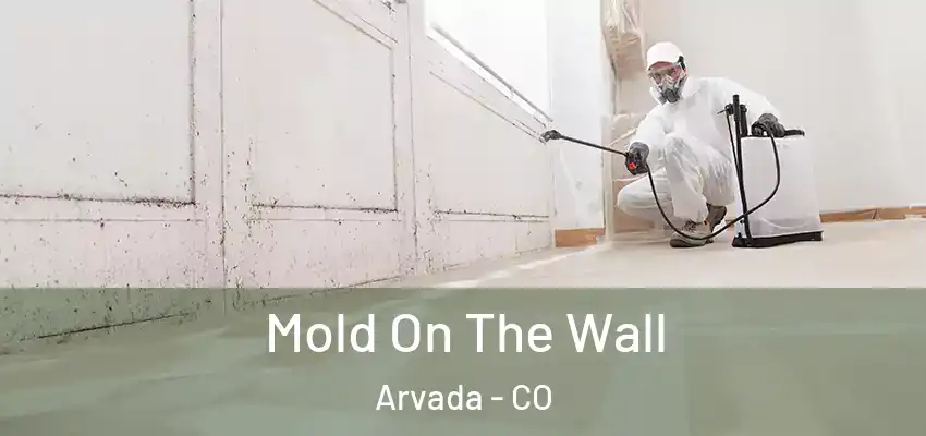  Mold On The Wall Arvada - CO