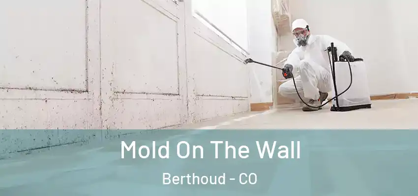  Mold On The Wall Berthoud - CO