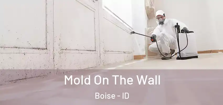 Mold On The Wall Boise - ID