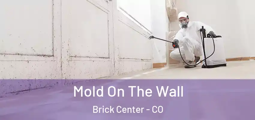  Mold On The Wall Brick Center - CO