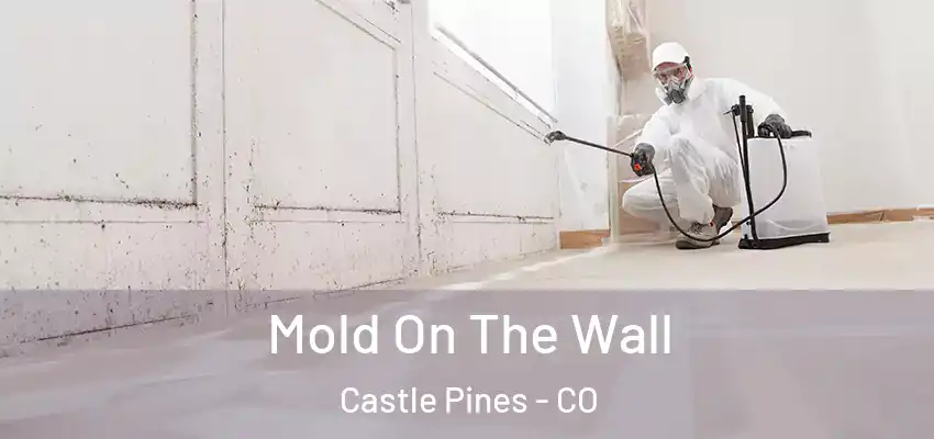  Mold On The Wall Castle Pines - CO