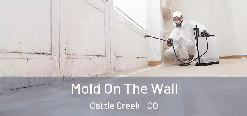 Mold On The Wall Cattle Creek - CO