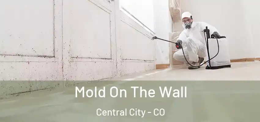  Mold On The Wall Central City - CO