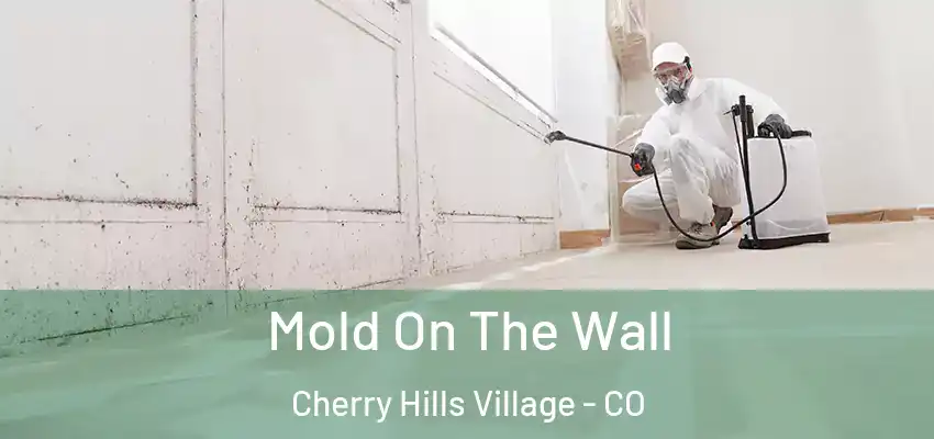  Mold On The Wall Cherry Hills Village - CO