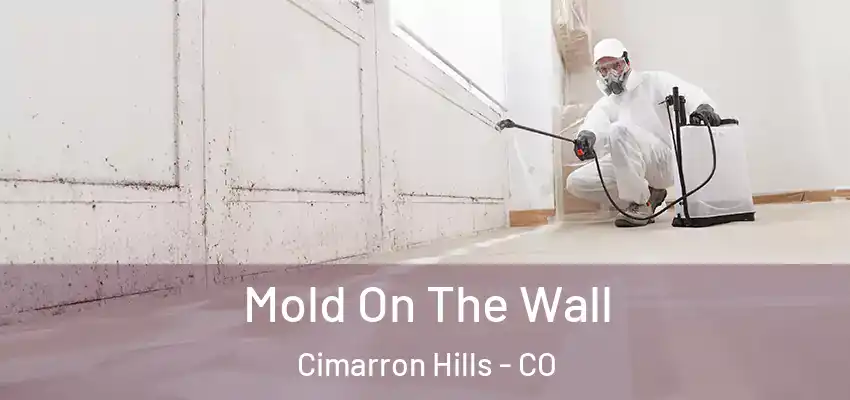  Mold On The Wall Cimarron Hills - CO