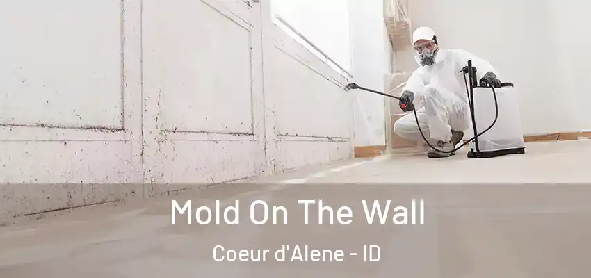  Mold On The Wall Coeur d'Alene - ID