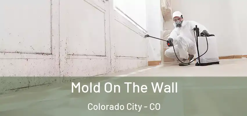 Mold On The Wall Colorado City - CO