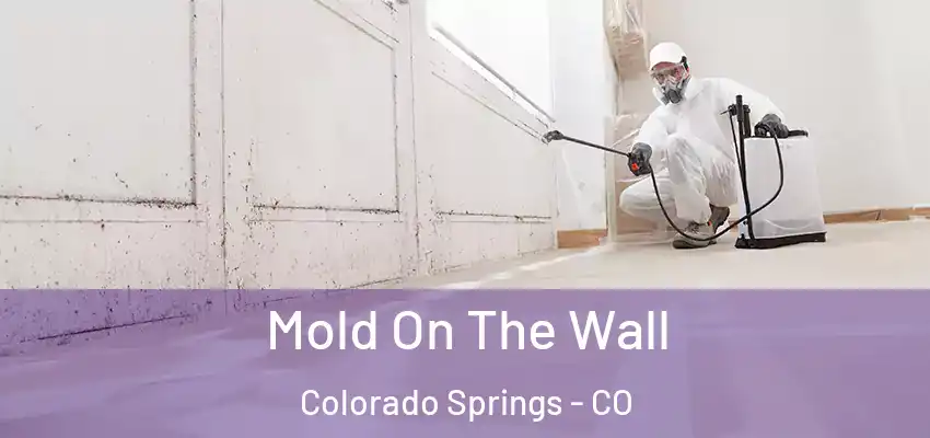  Mold On The Wall Colorado Springs - CO