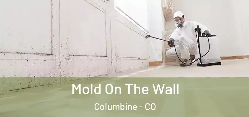  Mold On The Wall Columbine - CO