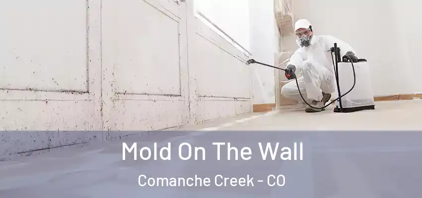  Mold On The Wall Comanche Creek - CO