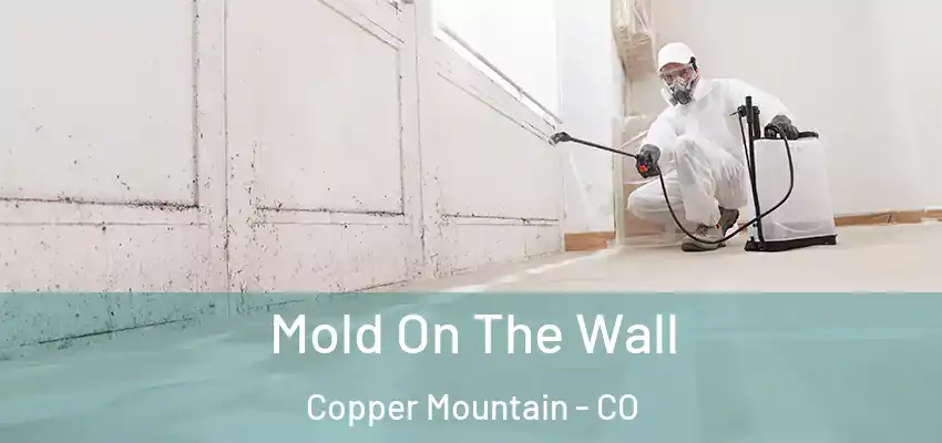 Mold On The Wall Copper Mountain - CO