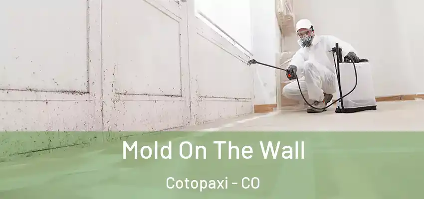 Mold On The Wall Cotopaxi - CO