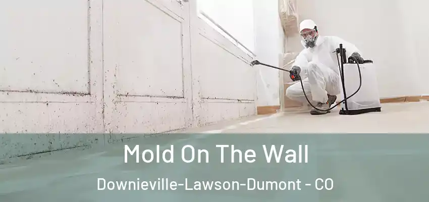  Mold On The Wall Downieville-Lawson-Dumont - CO