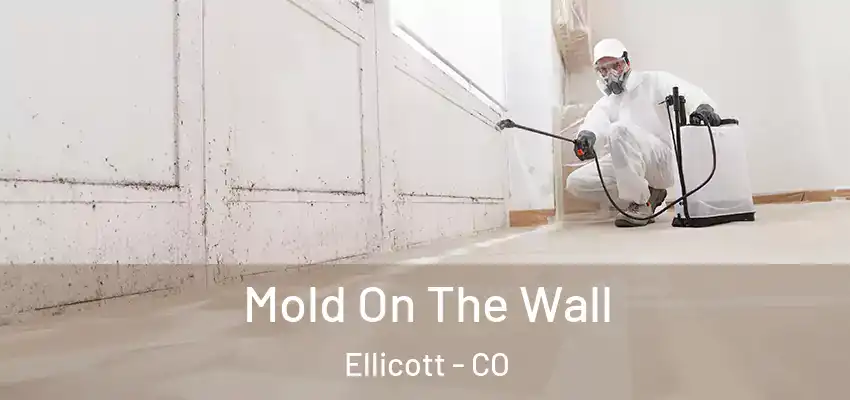  Mold On The Wall Ellicott - CO