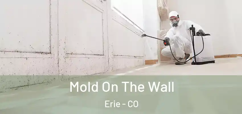  Mold On The Wall Erie - CO