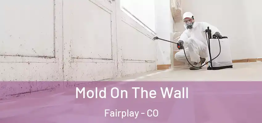 Mold On The Wall Fairplay - CO