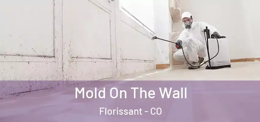  Mold On The Wall Florissant - CO
