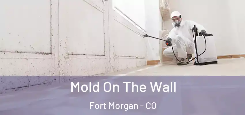  Mold On The Wall Fort Morgan - CO