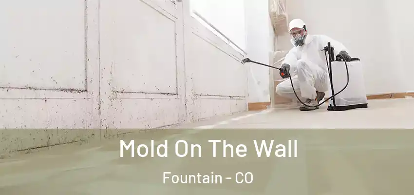 Mold On The Wall Fountain - CO