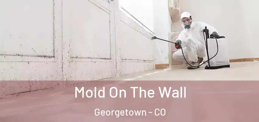  Mold On The Wall Georgetown - CO