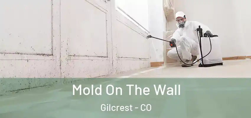  Mold On The Wall Gilcrest - CO