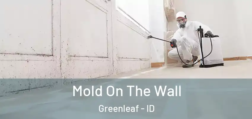  Mold On The Wall Greenleaf - ID