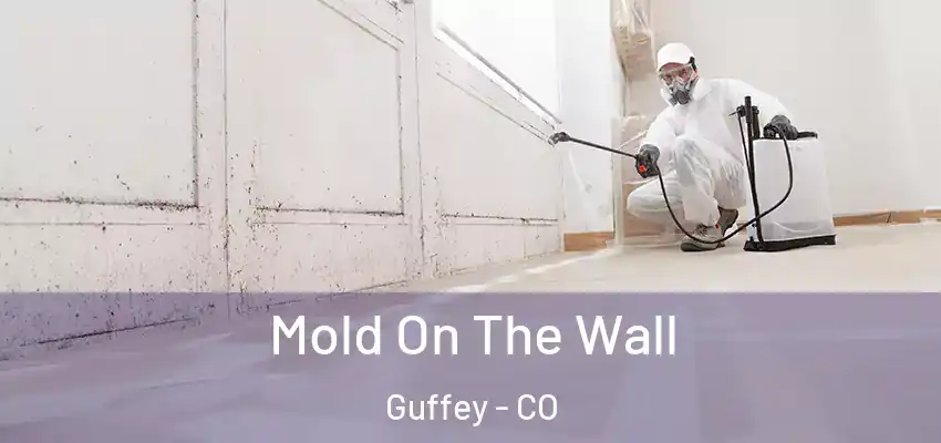 Mold On The Wall Guffey - CO