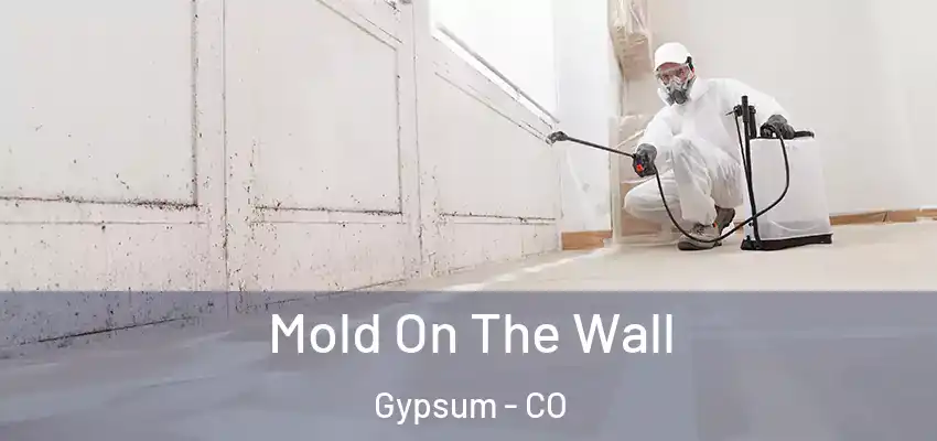 Mold On The Wall Gypsum - CO