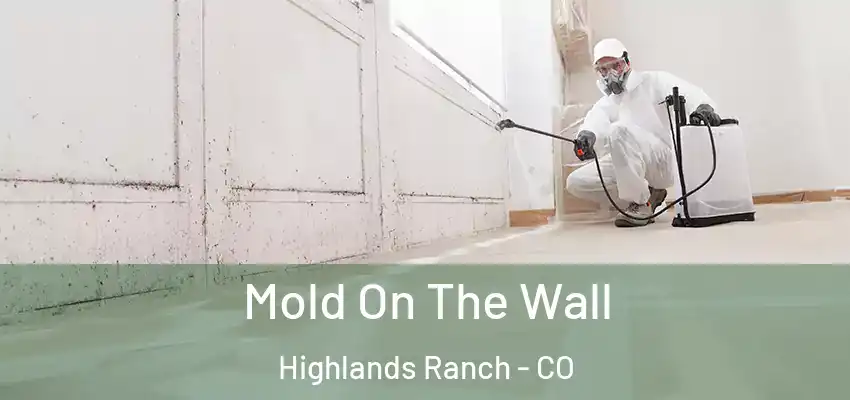  Mold On The Wall Highlands Ranch - CO