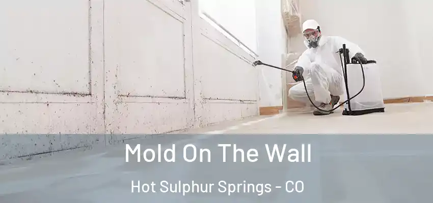 Mold On The Wall Hot Sulphur Springs - CO