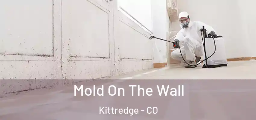  Mold On The Wall Kittredge - CO