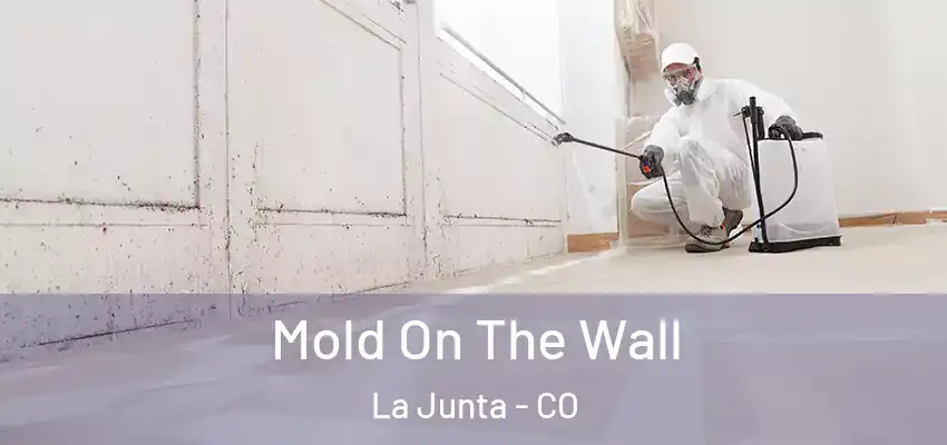  Mold On The Wall La Junta - CO