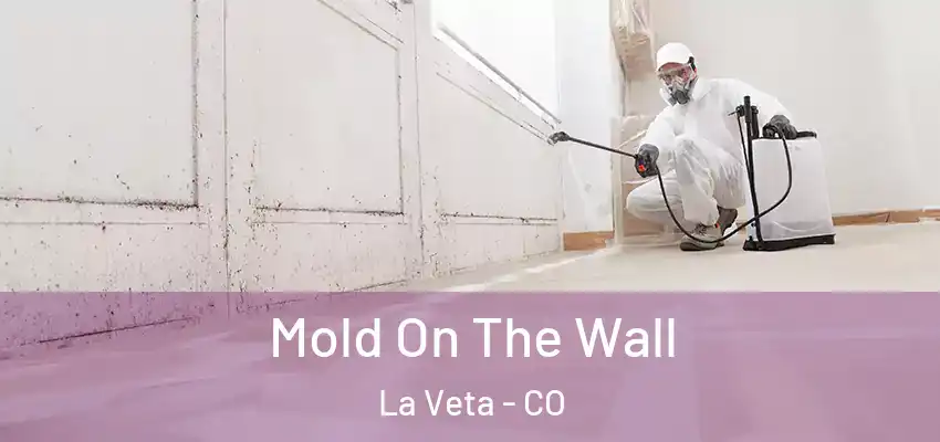 Mold On The Wall La Veta - CO