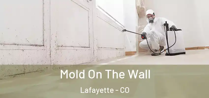  Mold On The Wall Lafayette - CO