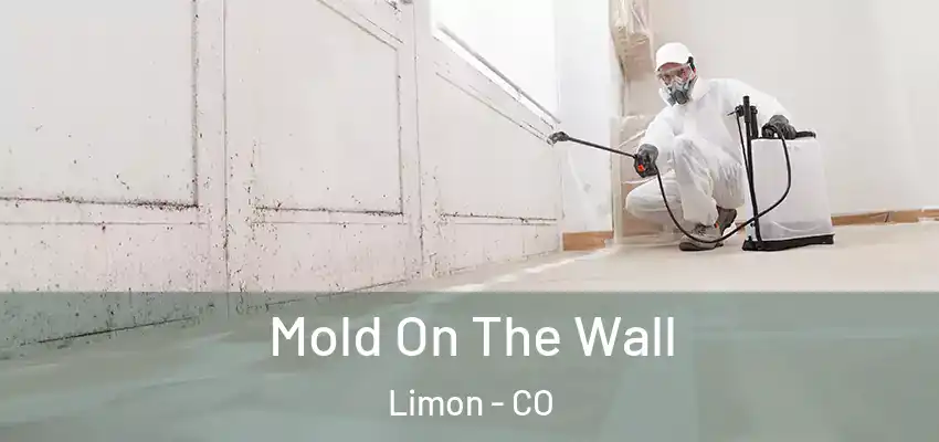  Mold On The Wall Limon - CO