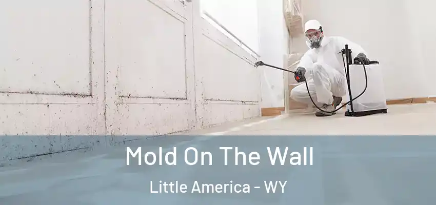  Mold On The Wall Little America - WY
