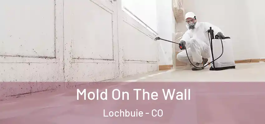  Mold On The Wall Lochbuie - CO