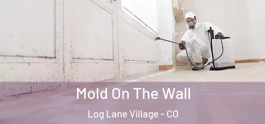  Mold On The Wall Log Lane Village - CO