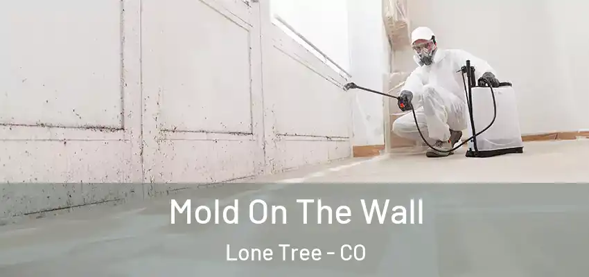  Mold On The Wall Lone Tree - CO