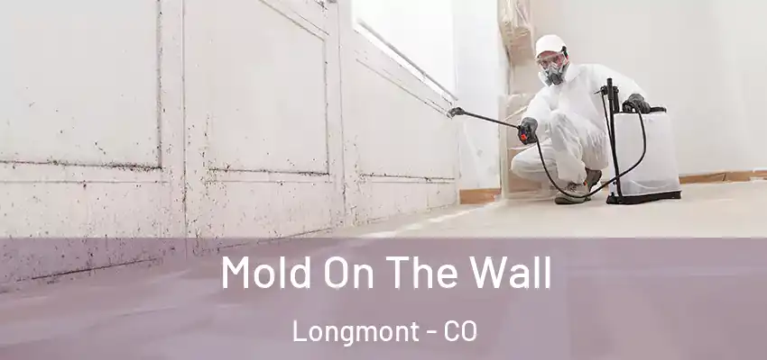 Mold On The Wall Longmont - CO
