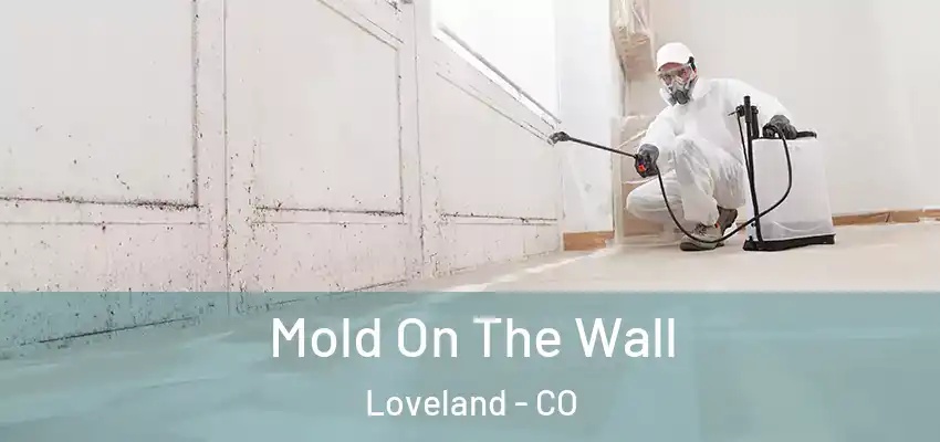  Mold On The Wall Loveland - CO