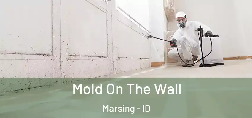  Mold On The Wall Marsing - ID