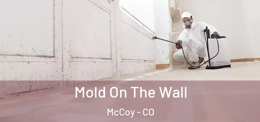 Mold On The Wall McCoy - CO