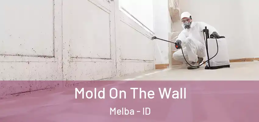  Mold On The Wall Melba - ID