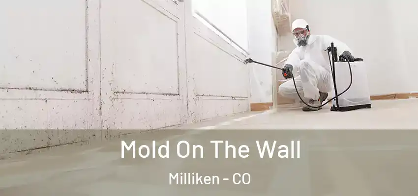  Mold On The Wall Milliken - CO