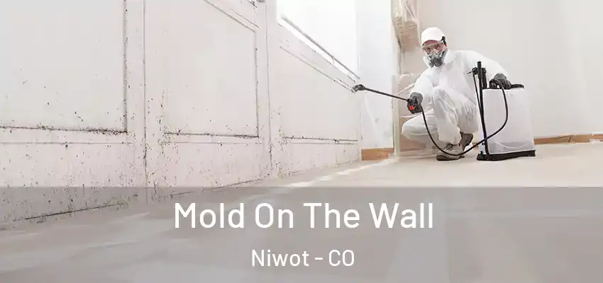  Mold On The Wall Niwot - CO