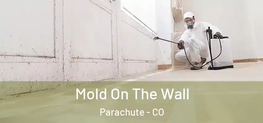  Mold On The Wall Parachute - CO