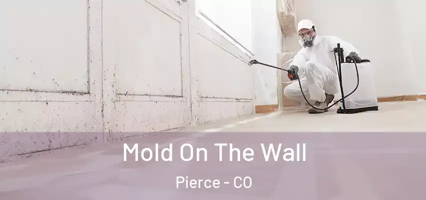  Mold On The Wall Pierce - CO