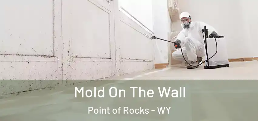  Mold On The Wall Point of Rocks - WY