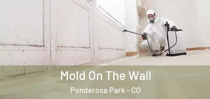  Mold On The Wall Ponderosa Park - CO